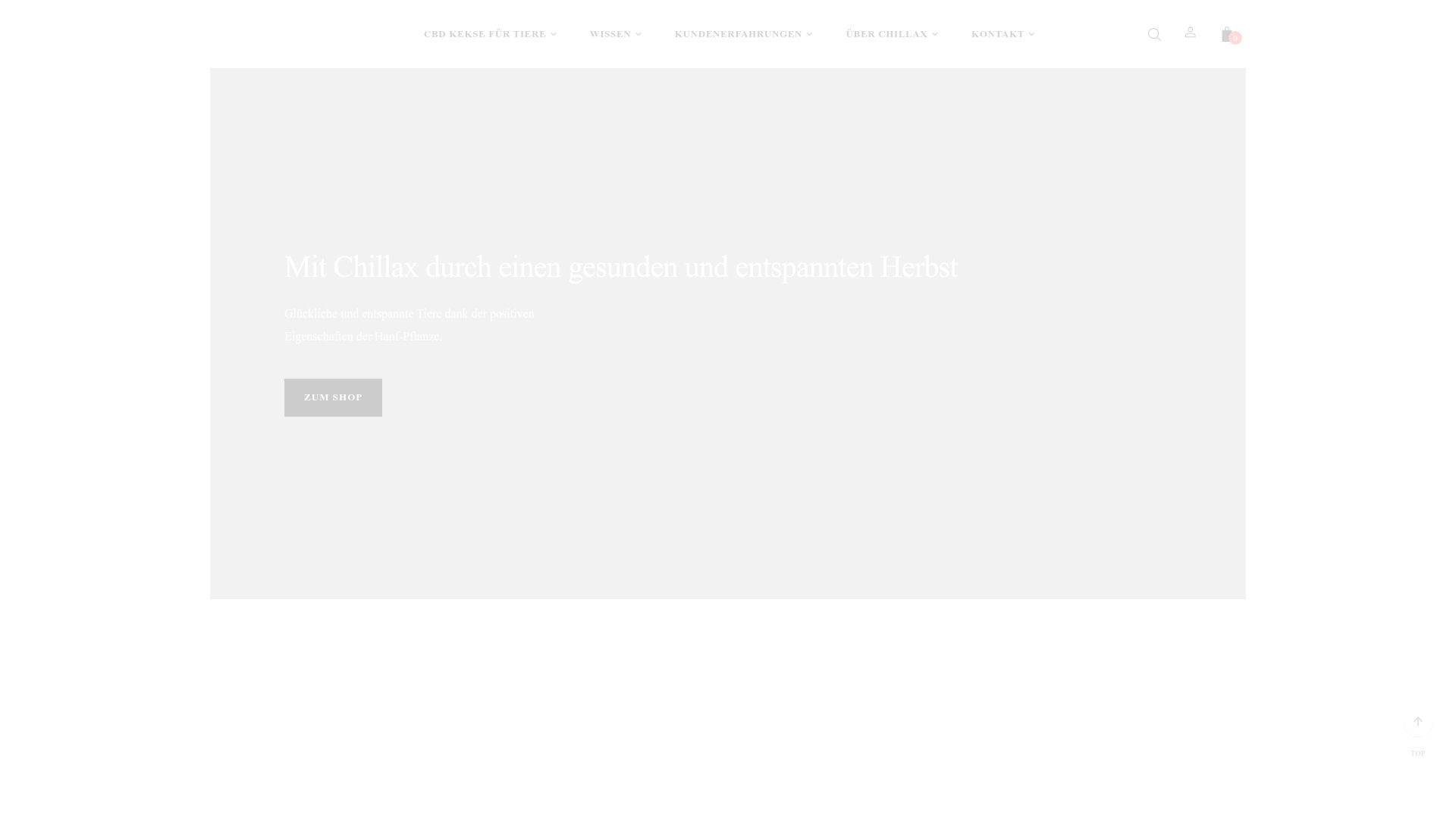 Screenshot von chillax.de