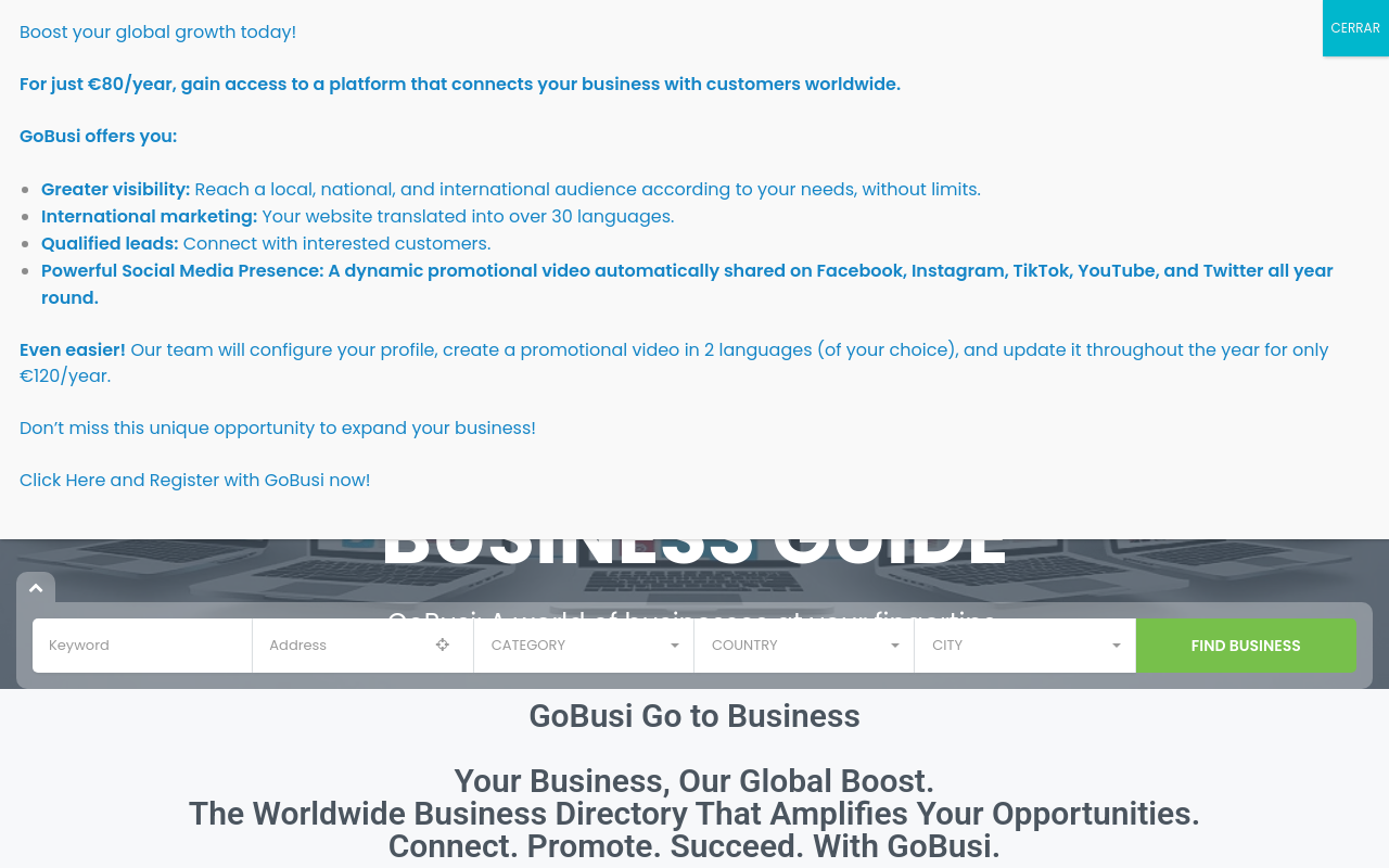 Screenshot von gobusi.com