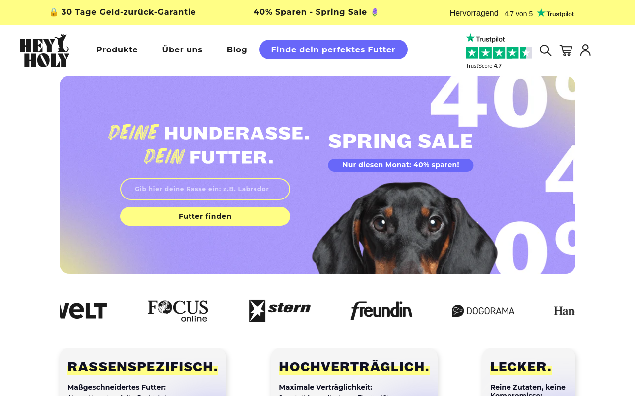 Screenshot von heyholy.com