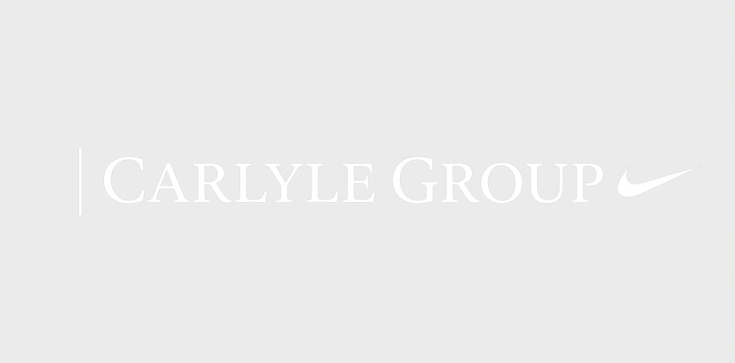larise.com Logo