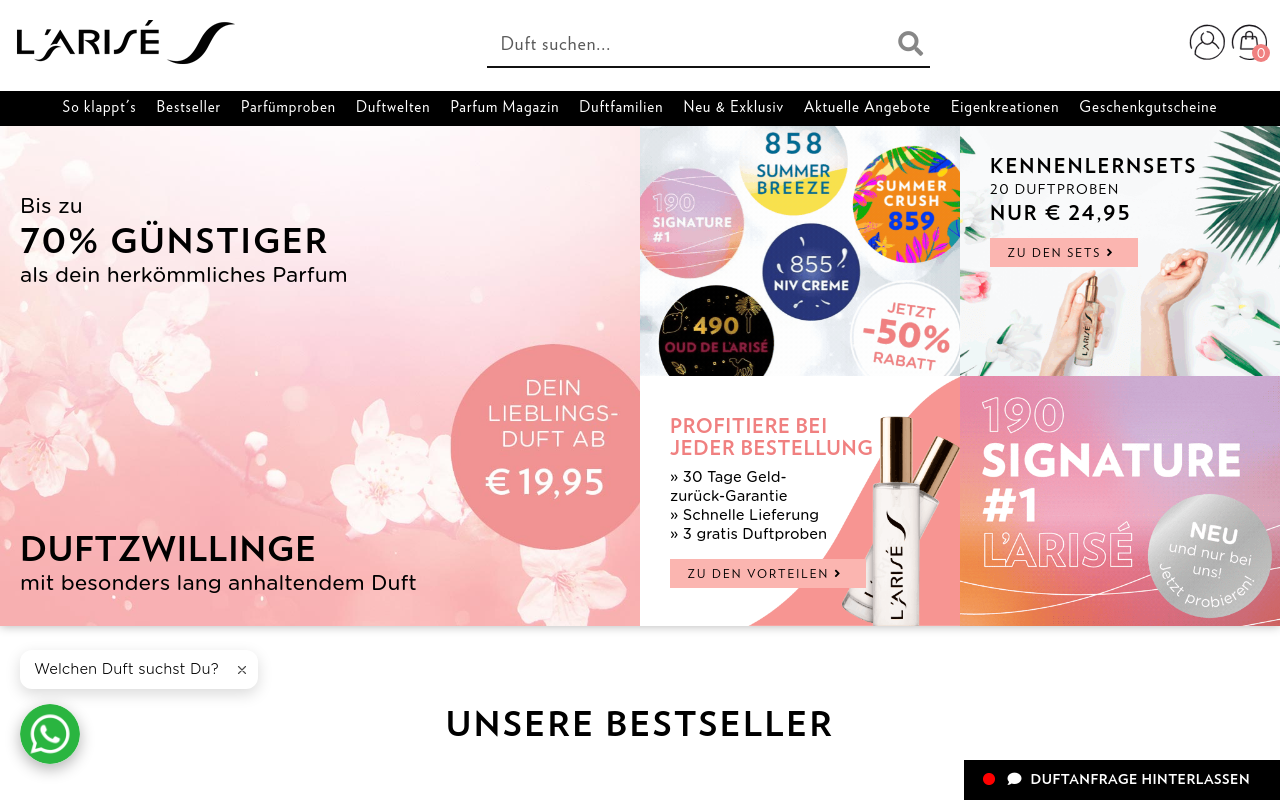 Screenshot von larise.com