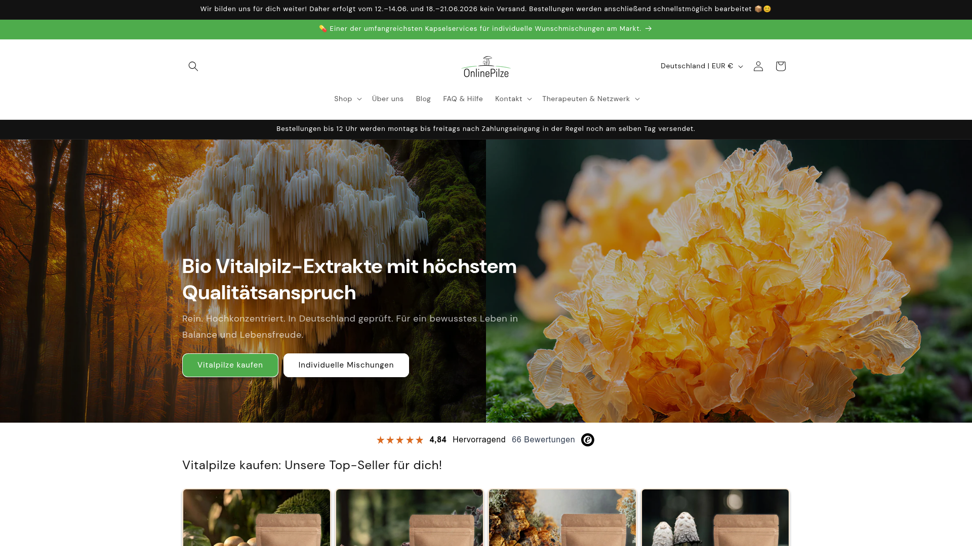 Screenshot von OnlinePilze