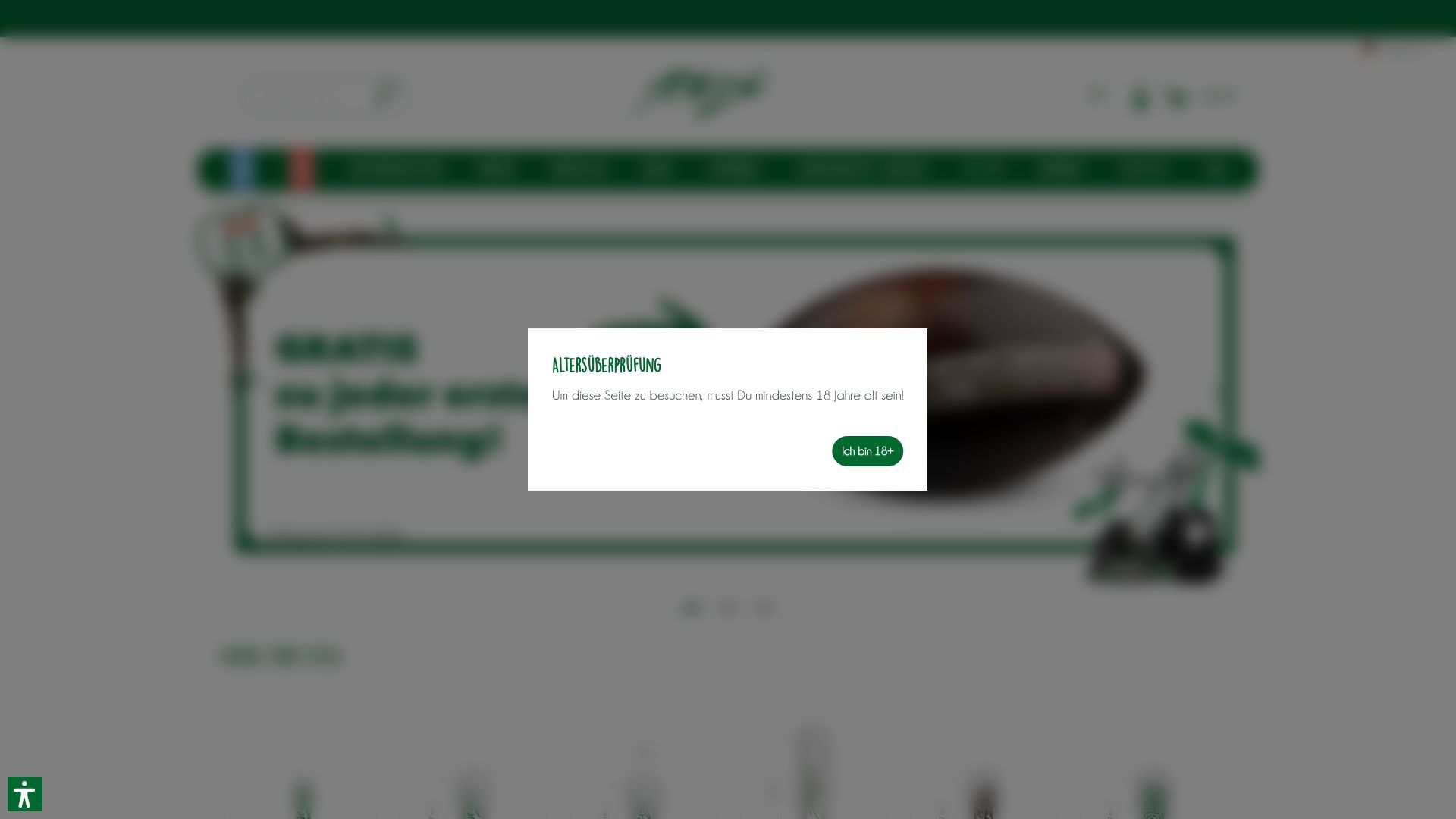 Screenshot von purize-filters.com
