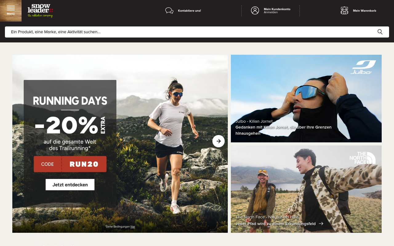 Screenshot von snowleader.de