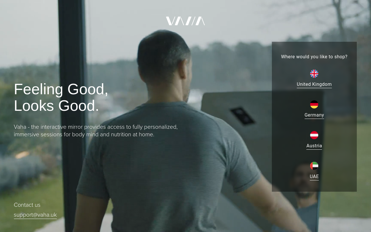 Screenshot von vaha.com