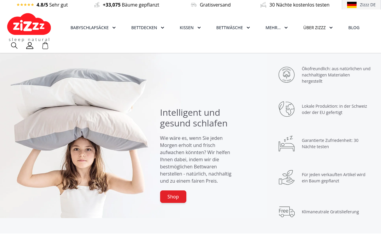 Screenshot von zizzz.de